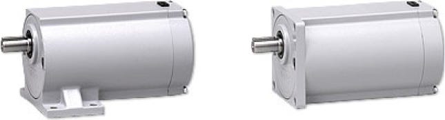 Parallel Shaft (G)(15W-90W)