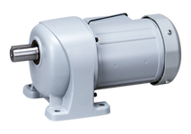 Induction Gearmotors