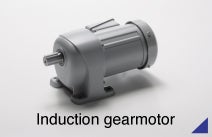Induction gearmotor