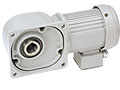 Started production of hollow shaft reducers